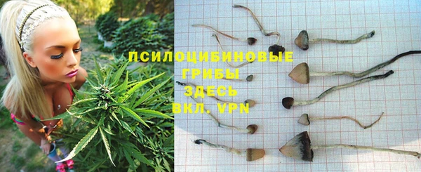 кокс Аркадак
