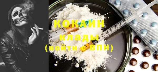 крисы Баксан