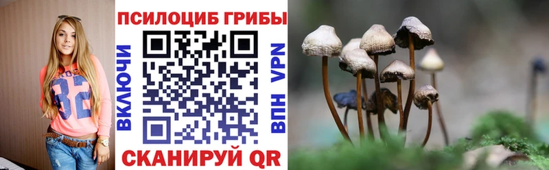 купить  цена  Облучье  Галлюциногенные грибы MAGIC MUSHROOMS 